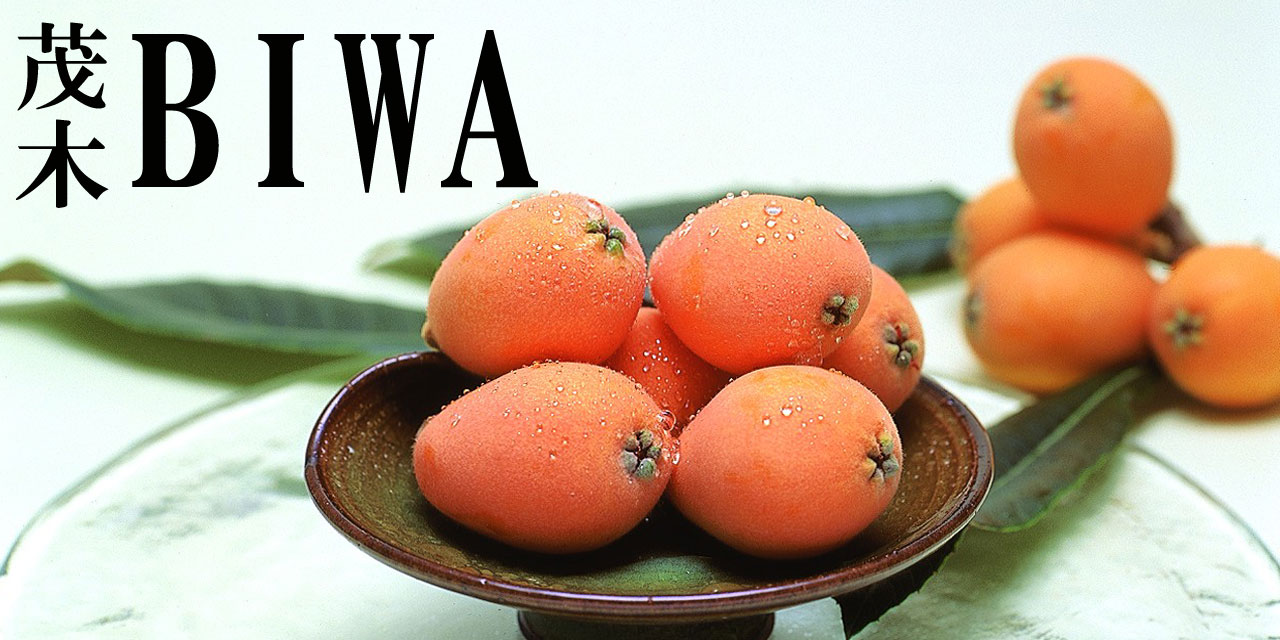 茂木びわゼリー